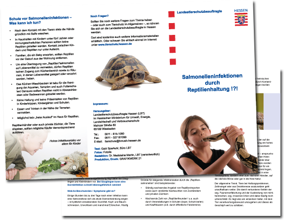 Faltblatt Salmonelleninfektionen Faltblatt Salmonelleninfektionen