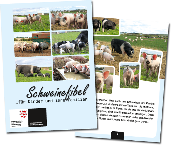 Schweinefibel - BroschÜre Schweinefibel - BroschÜre